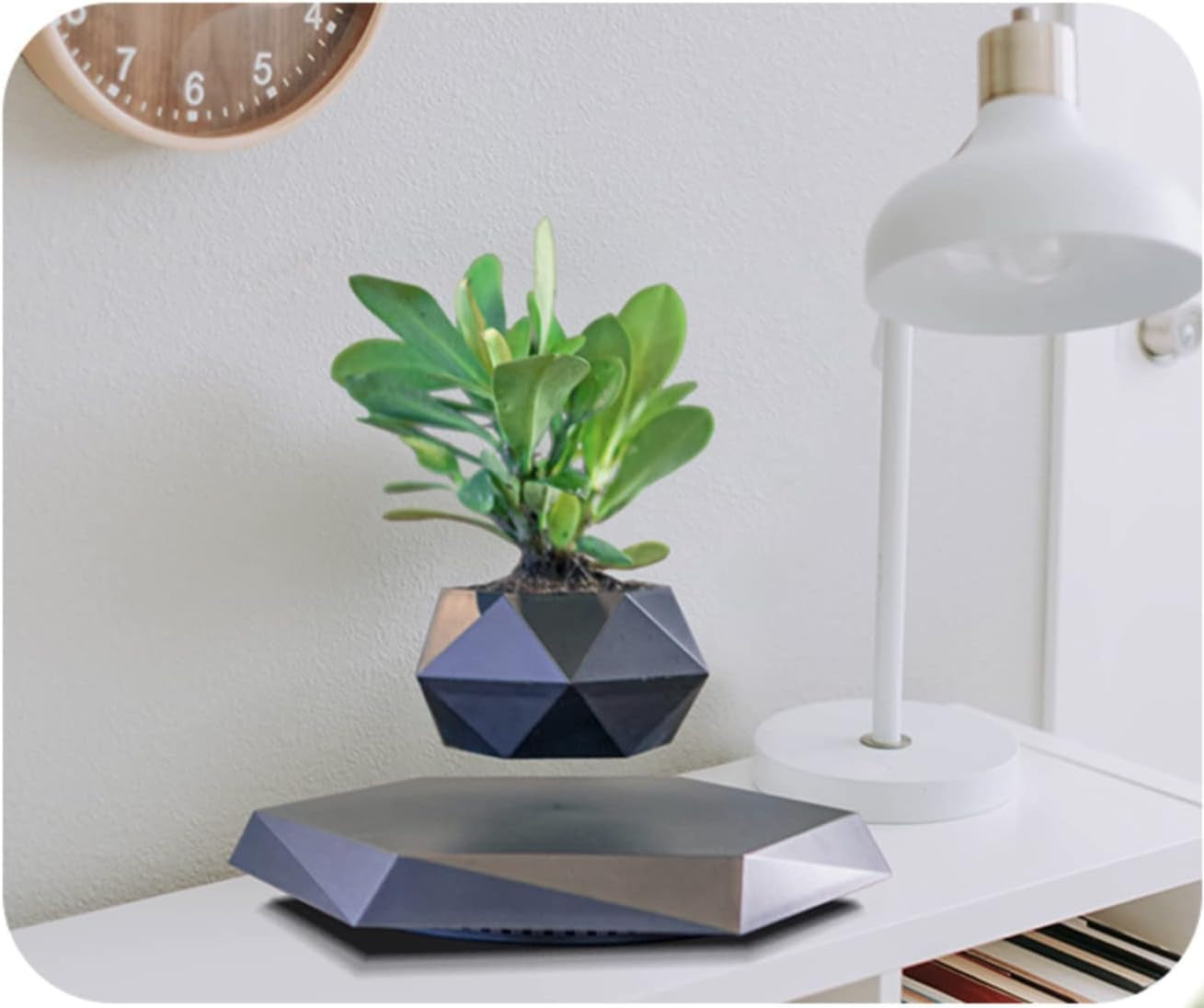 Magnetic Levitating Flower Pot | 360° Rotating Air Bonsai | Home & Office Desk Decor