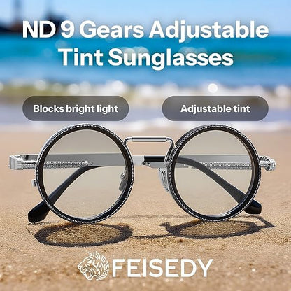 Adjustable Sunglasses Fishing Eyewear for Home Adjustable Brightness Outdoor 1-9 Gears Adjustable Traveling Style Sporting Goods Goggles Rounded Polarized Glasses