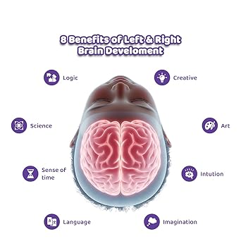 Brain Activity Book - Build Focus , Creativity & Hand Coordination For Kids