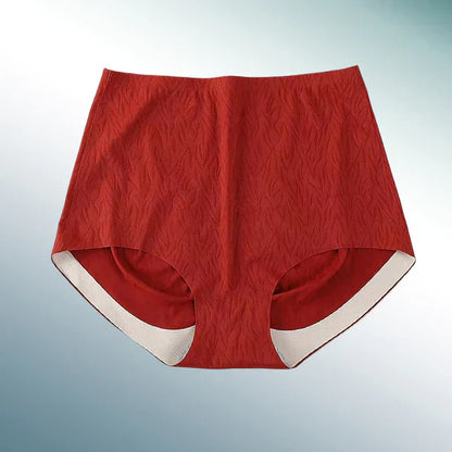 Seamless High Waist Butt Lift Panties ( Pack of 5)