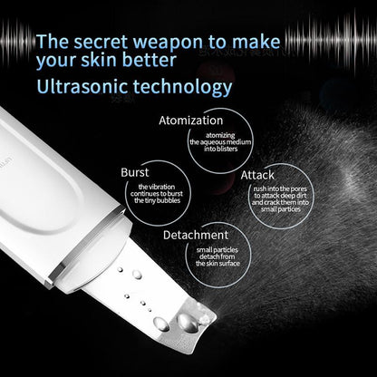 Ultrasonic Heating Skin Scrubber